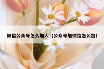 微信公众号怎么加人（公众号加微信怎么加）