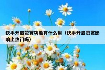 快手开启赞赏功能有什么用（快手开启赞赏影响上热门吗）