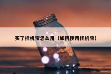 买了挂机宝怎么用（如何使用挂机宝）
