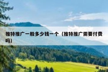 推特推广一般多少钱一个（推特推广需要付费吗）