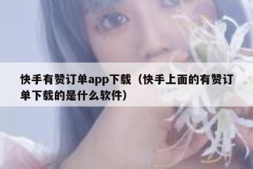 快手有赞订单app下载（快手上面的有赞订单下载的是什么软件）