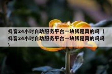 抖音24小时自助服务平台一块钱是真的吗（抖音24小时自助服务平台一块钱是真的吗吗）