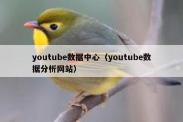 youtube数据中心（youtube数据分析网站）