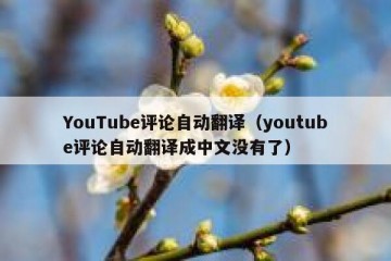 YouTube评论自动翻译（youtube评论自动翻译成中文没有了）