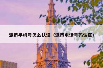 派币手机号怎么认证（派币电话号码认证）