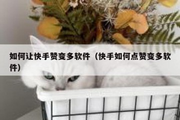 如何让快手赞变多软件（快手如何点赞变多软件）