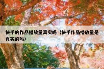 快手的作品播放量真实吗（快手作品播放量是真实的吗）