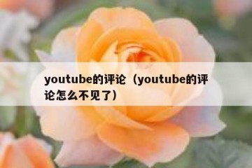 youtube的评论（youtube的评论怎么不见了）