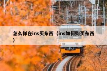 怎么样在ins买东西（ins如何购买东西）
