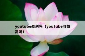 youtube盈利吗（youtube收益高吗）