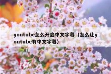 youtube怎么开启中文字幕（怎么让youtube有中文字幕）