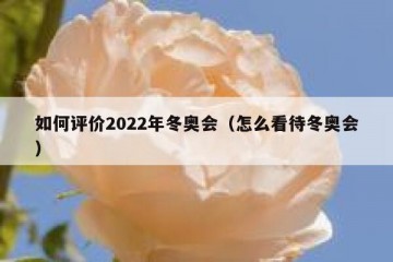 如何评价2022年冬奥会（怎么看待冬奥会）