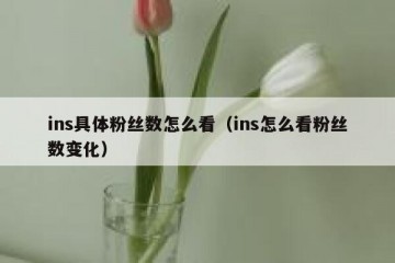 ins具体粉丝数怎么看（ins怎么看粉丝数变化）