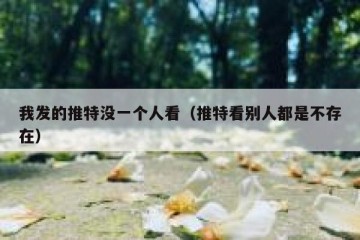 我发的推特没一个人看（推特看别人都是不存在）