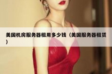 美国机房服务器租用多少钱（美国服务器租赁）
