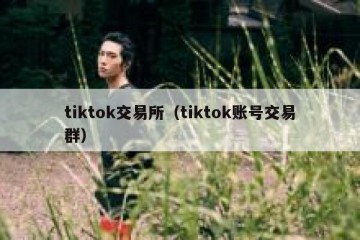 tiktok交易所（tiktok账号交易群）