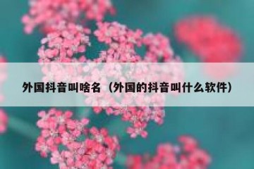 外国抖音叫啥名（外国的抖音叫什么软件）