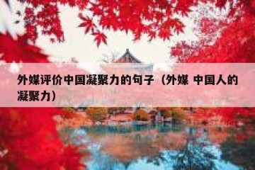 外媒评价中国凝聚力的句子（外媒 中国人的凝聚力）