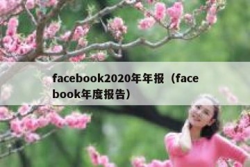 facebook2020年年报（facebook年度报告）