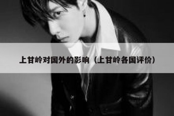 上甘岭对国外的影响（上甘岭各国评价）
