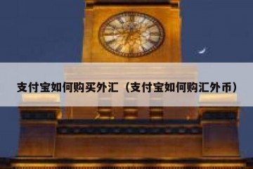 支付宝如何购买外汇（支付宝如何购汇外币）