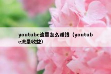 youtube流量怎么赚钱（youtube流量收益）