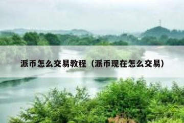 派币怎么交易教程（派币现在怎么交易）