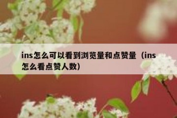 ins怎么可以看到浏览量和点赞量（ins怎么看点赞人数）