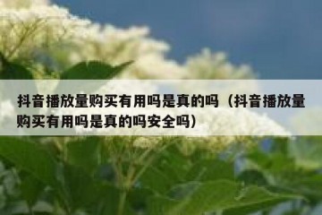 抖音播放量购买有用吗是真的吗（抖音播放量购买有用吗是真的吗安全吗）