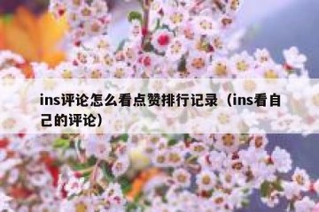ins评论怎么看点赞排行记录（ins看自己的评论）