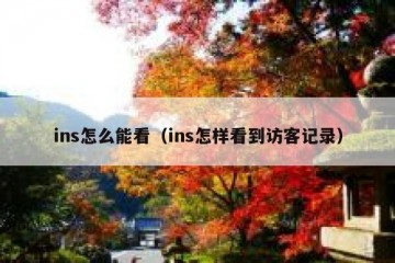 ins怎么能看（ins怎样看到访客记录）