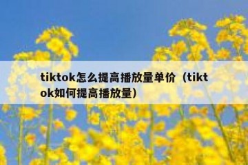 tiktok怎么提高播放量单价（tiktok如何提高播放量）