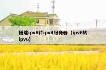 搭建ipv6转ipv4服务器（ipv6转ipv6）