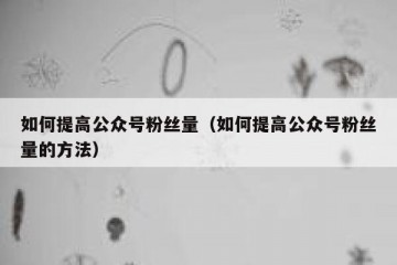如何提高公众号粉丝量（如何提高公众号粉丝量的方法）