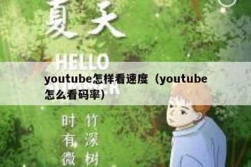 youtube怎样看速度（youtube怎么看码率）
