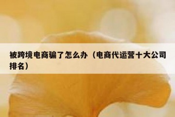 被跨境电商骗了怎么办（电商代运营十大公司排名）