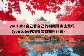 youtube自己看自己的视频算点击量吗（youtube的观看次数如何计算）