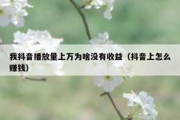 我抖音播放量上万为啥没有收益（抖音上怎么赚钱）