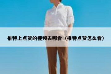 推特上点赞的视频去哪看（推特点赞怎么看）