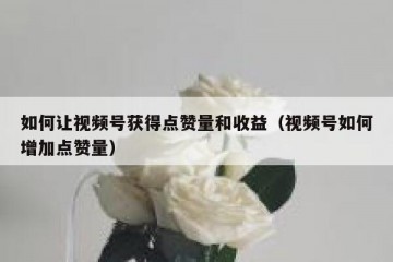 如何让视频号获得点赞量和收益（视频号如何增加点赞量）