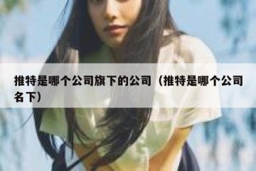 推特是哪个公司旗下的公司（推特是哪个公司名下）