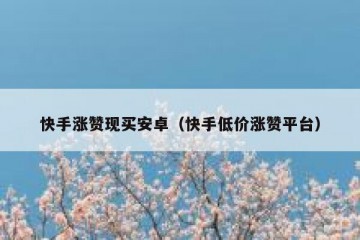 快手涨赞现买安卓(快手低价涨赞平台)