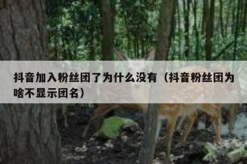 抖音加入粉丝团了为什么没有（抖音粉丝团为啥不显示团名）