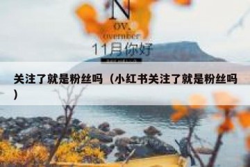 关注了就是粉丝吗（小红书关注了就是粉丝吗）