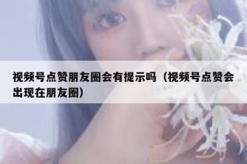 视频号点赞朋友圈会有提示吗（视频号点赞会出现在朋友圈）