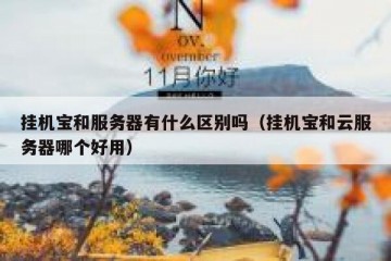 挂机宝和服务器有什么区别吗（挂机宝和云服务器哪个好用）