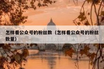 怎样看公众号的粉丝数（怎样看公众号的粉丝数量）