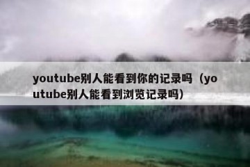 youtube别人能看到你的记录吗（youtube别人能看到浏览记录吗）