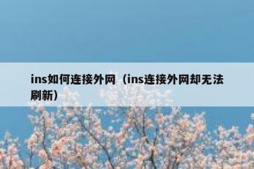 ins如何连接外网（ins连接外网却无法刷新）
