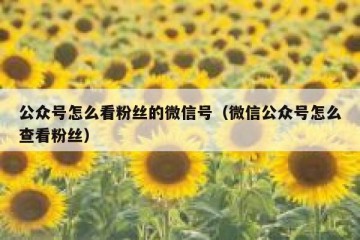 公众号怎么看粉丝的微信号（微信公众号怎么查看粉丝）